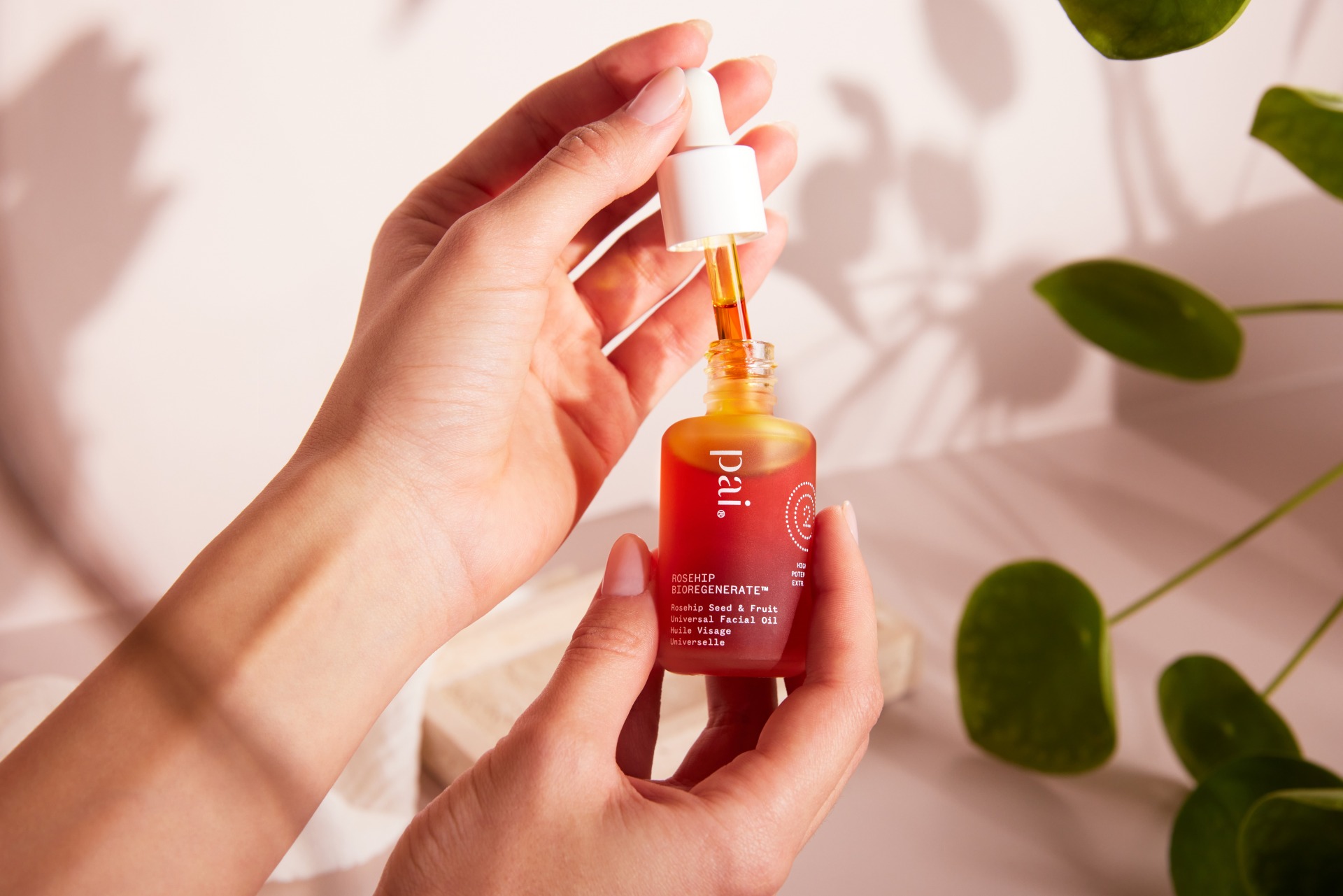 Win a Skincare Bundle from Pai Skincare