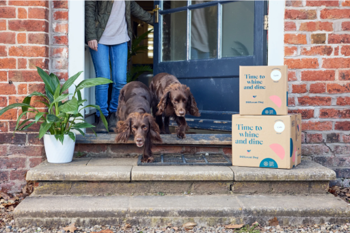 40% Off Your First Two Different Dog Boxes