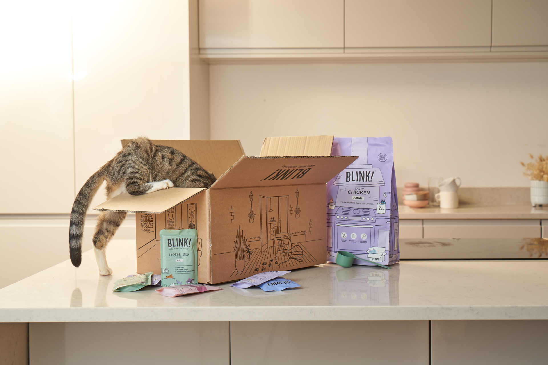 £1 Blinkcats Starter Box and 40% Off Your Next Three Boxes