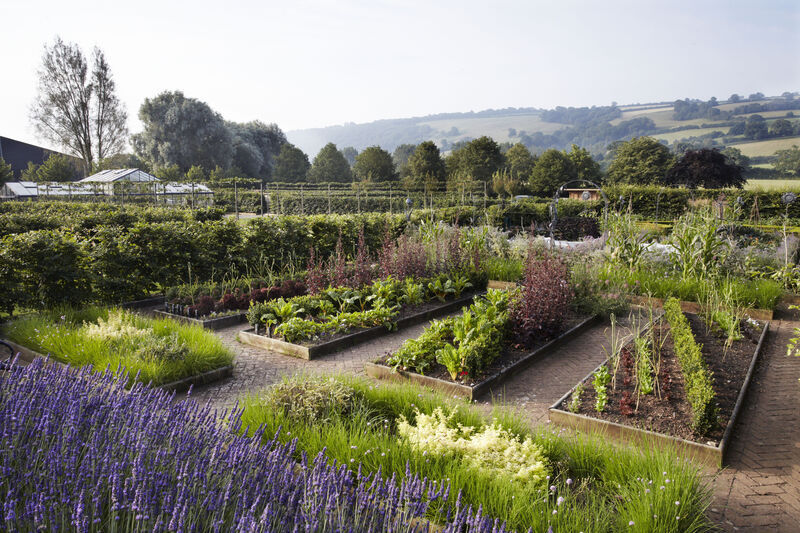 A Free Annual Pass to the Yeo Valley Organic Garden 2026