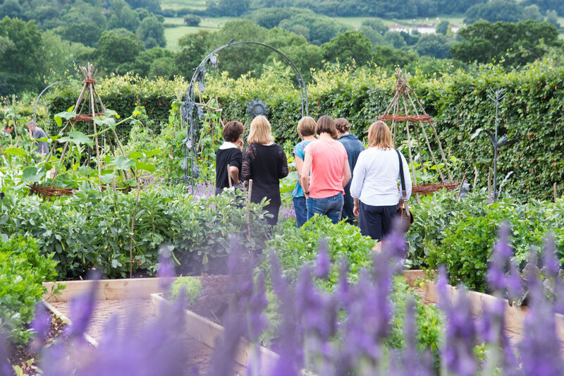One free ticket to a best of both day (kitchen and garden) - 2026