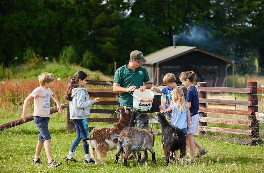 Reward image: £55 off a Glamping Stay at Feather Down Farms