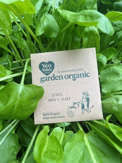 Yeo Valley x Garden Organic Seed Packet