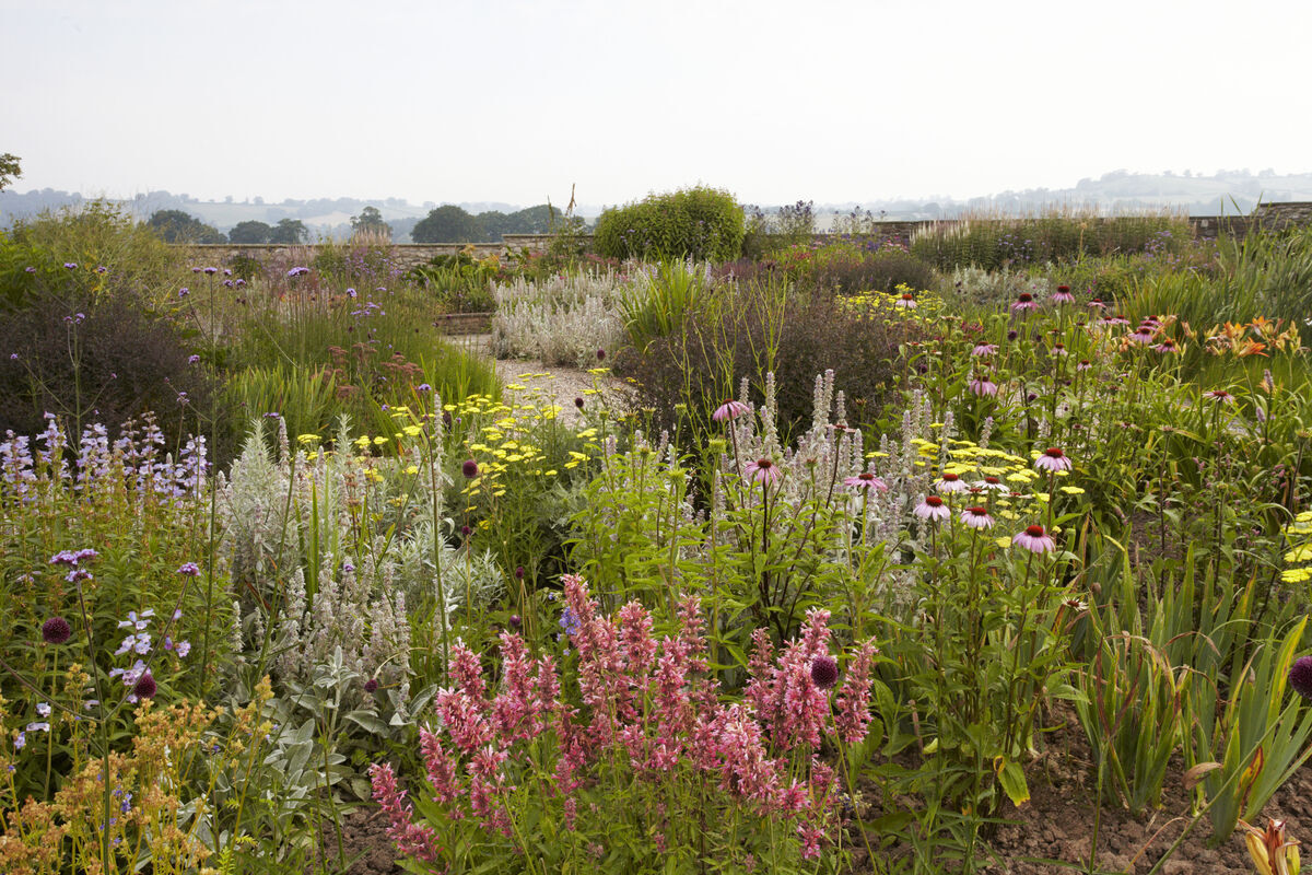 Yeo Valley x Garden Organic Seed Packet